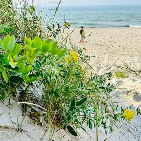 Komfortables An Der Ostseekueste By Interhome