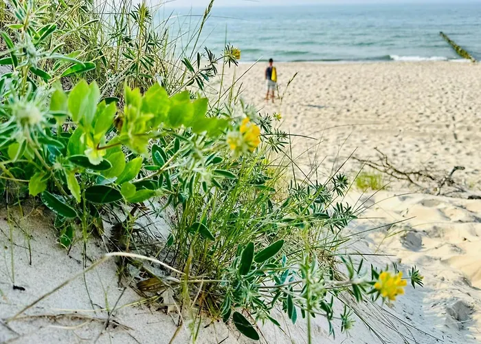 Komfortables An Der Ostseekueste By Interhome